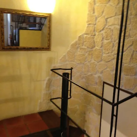 Aga Guest